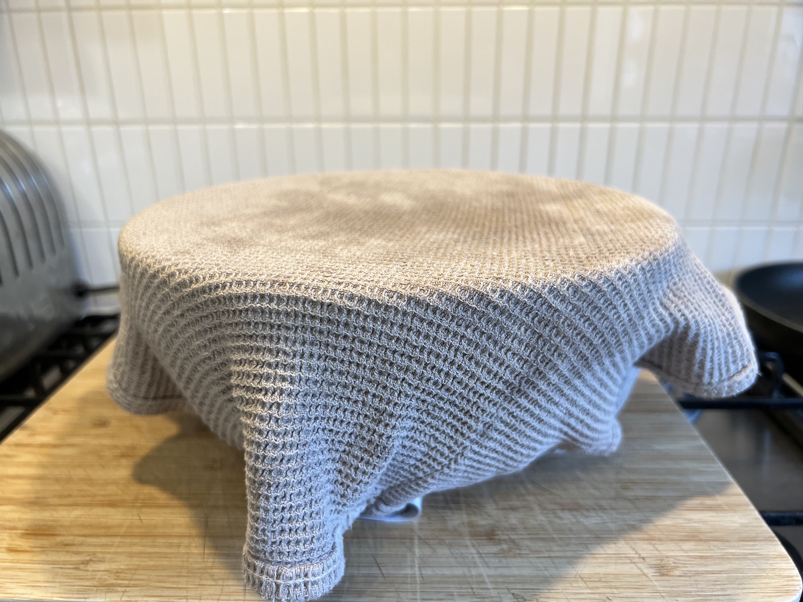 - bulk ferment under a towel